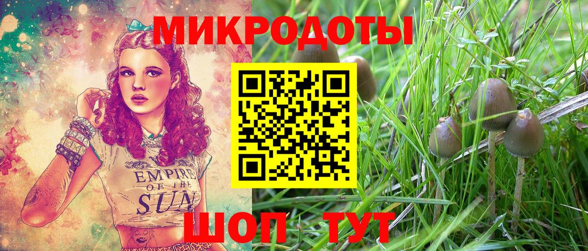 Галлюциногенные грибы прущие грибы Среднеуральск