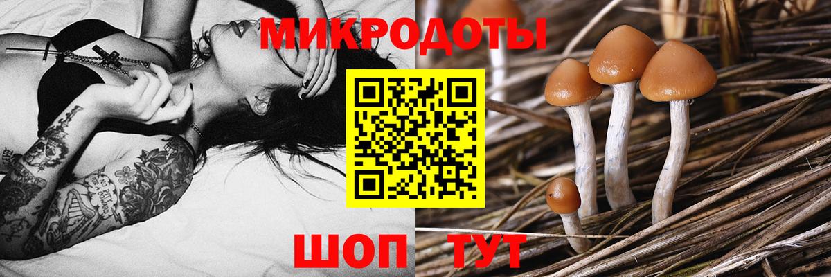 Псилоцибиновые грибы MAGIC MUSHROOMS  купить наркотики цена  Среднеуральск  Вход с VPN 